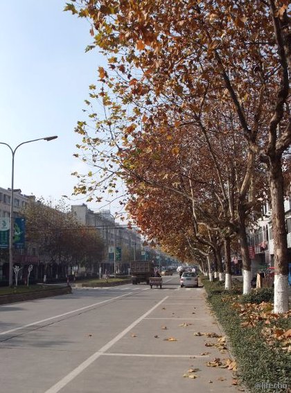 图1 冬日路景